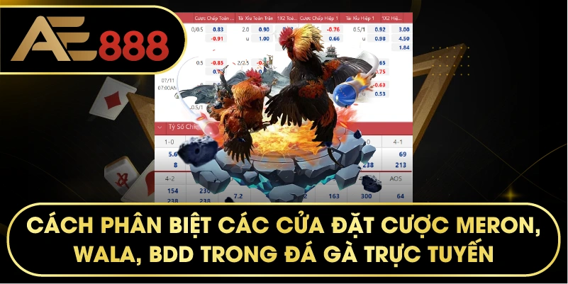 cách phân biệt các cửa đặt cược Meron, Wala, BDD trong đá gà trực tuyến.