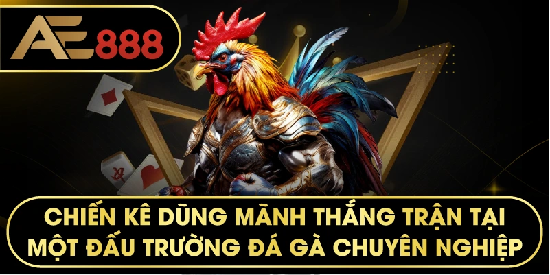 chiến kê dũng mãnh thắng trận tại một đấu trường đá gà chuyên nghiệp.