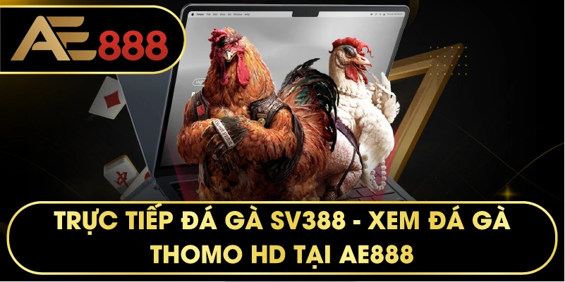 Trực Tiếp Đá Gà SV388 – Đấu Trường Đỉnh Cao Tại AE888