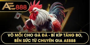 Vô mồi cho gà – Bí kíp giúp chiến kê tăng bo, bền sức tối đa